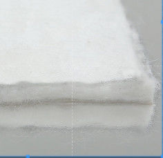 品質  Environmental Protection Filament Nonwoven Geotextile Geotech Fabric 工場